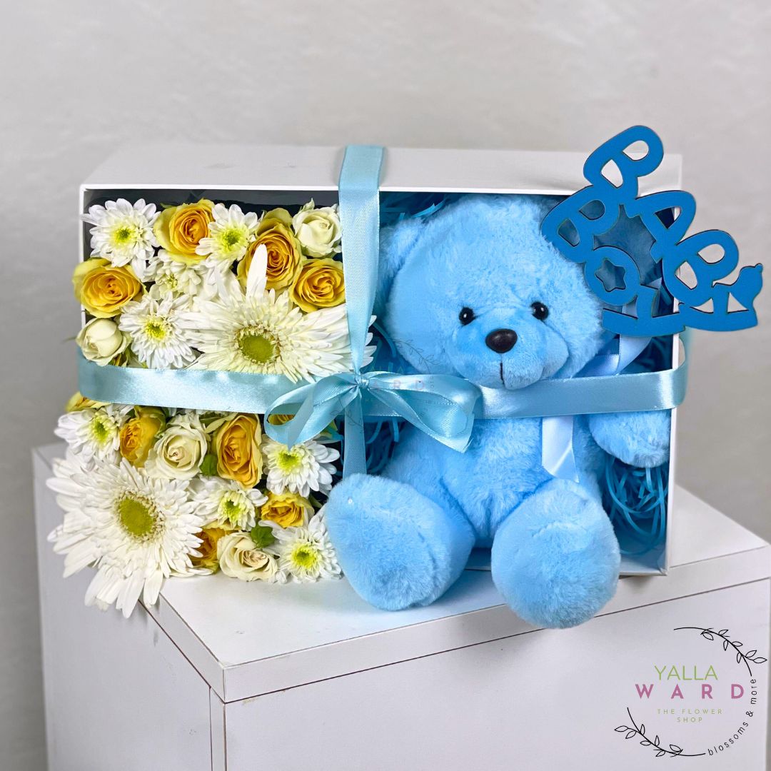 🎀💙 Newborn Gift Ideas in Amman