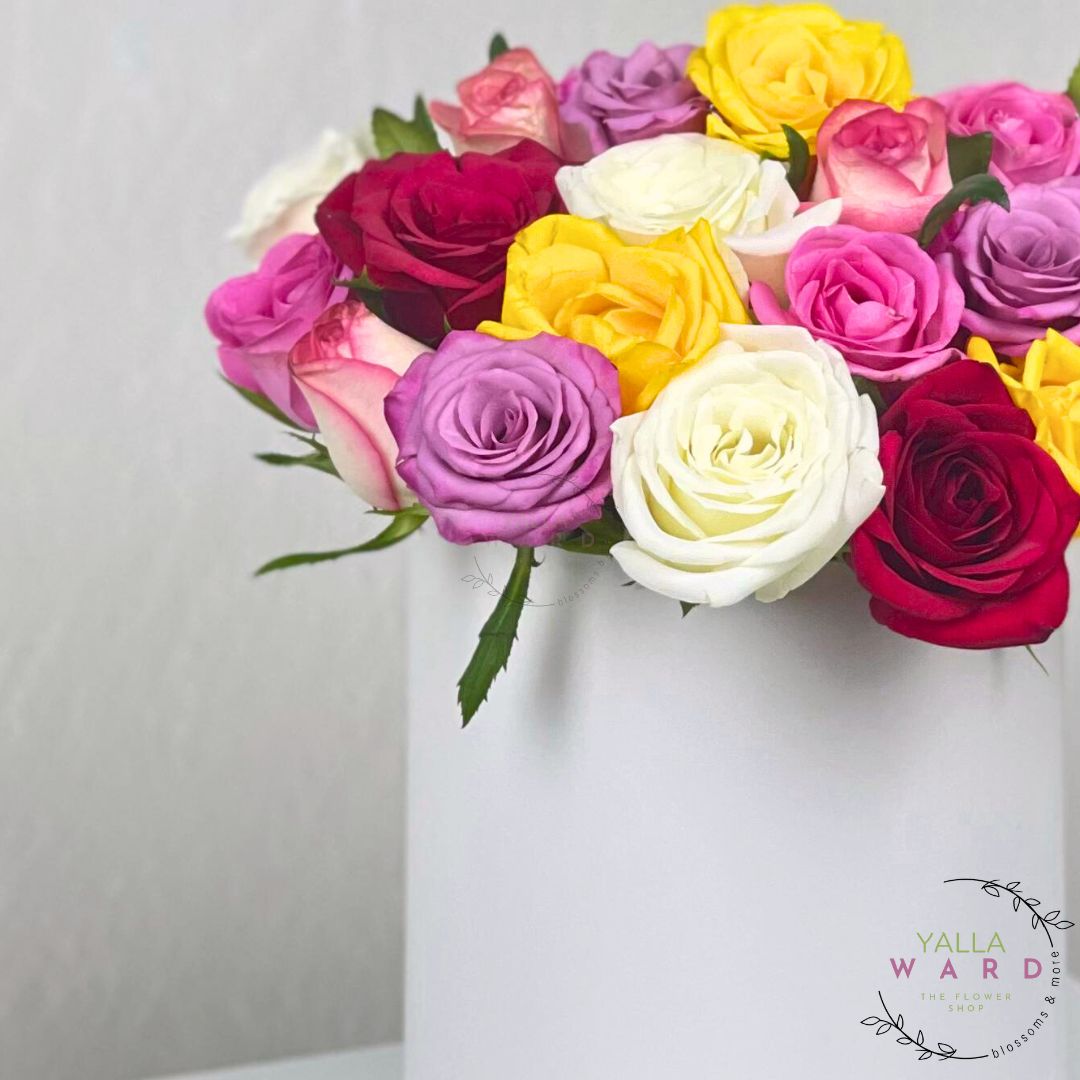 mix colorful roses in a white vase on a light gray background