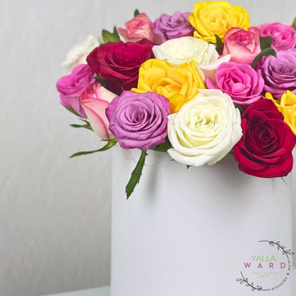 mix colorful roses in a white vase on a light gray background
