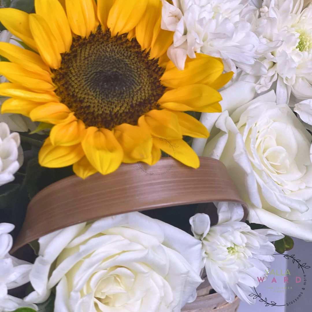 Sunflower surrounded by white flowers with a brown ribbon